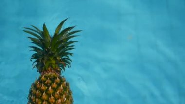 Ananas yüzen içinde mavi su içinde Yüzme Havuzu. Sağlıklı ham organik gıda. Sulu meyve. Egzotik tropik arka plan
