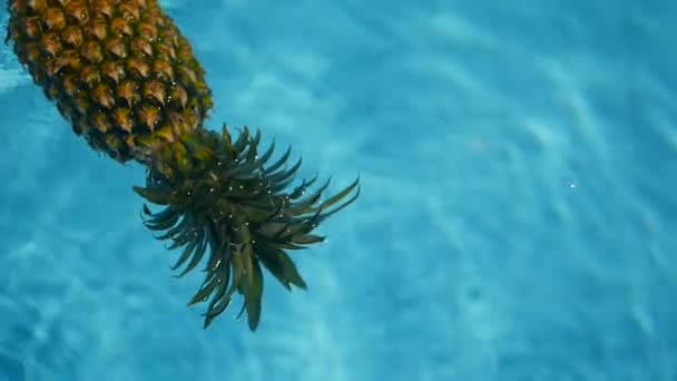 Ananas schwimmt im blauen Wasser im Schwimmbad. gesunde biologische Rohkost. saftige Früchte. exotischer tropischer Hintergrund — Stockvideo