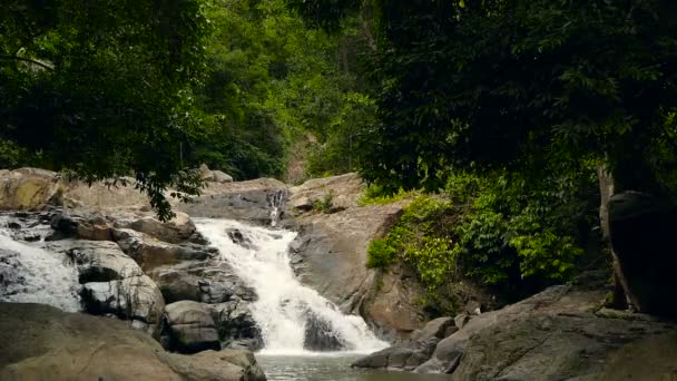 Scenérie deštného pralesa a řeka s kameny. Hluboko tropický prales. Džungle se stromy nad rychle rocky proudu. — Stock video