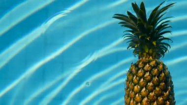 Ananas yüzen içinde mavi su içinde Yüzme Havuzu. Sağlıklı ham organik gıda. Sulu meyve. Egzotik tropik arka plan