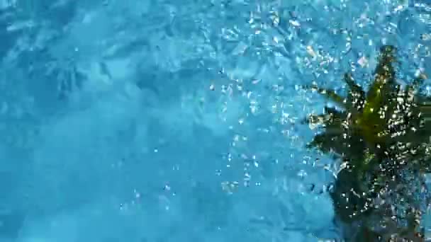 Ананас плаває у блакитній воді у басейні. Здорове сире органічне харчування. Соковиті фрукти. Екзотичний тропічний фон — стокове відео
