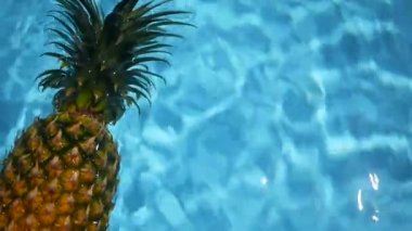 Ananas yüzen içinde mavi su içinde Yüzme Havuzu. Sağlıklı ham organik gıda. Sulu meyve. Egzotik tropik arka plan