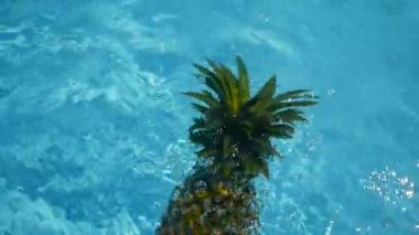 Ananas yüzen içinde mavi su içinde Yüzme Havuzu. Sağlıklı ham organik gıda. Sulu meyve. Egzotik tropik arka plan