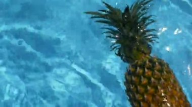 Ananas yüzen içinde mavi su içinde Yüzme Havuzu. Sağlıklı ham organik gıda. Sulu meyve. Egzotik tropik arka plan