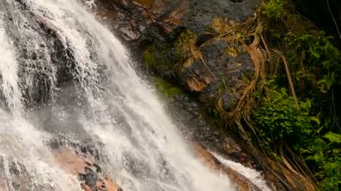 Orman cennet peyzaj tropikal ülkenin. Şelale çağlayan yeşil yağmur ormanlarında. Su akışı uçurumun üzerinden hareket