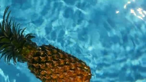 Ananász úszó a kék víz a medence. Egészséges nyers bioélelmiszerek. Lédús gyümölcs. Egzotikus trópusi háttér — Stock videók