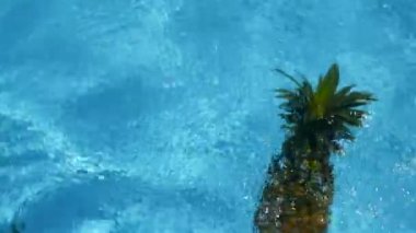 Ananas yüzen içinde mavi su içinde Yüzme Havuzu. Sağlıklı ham organik gıda. Sulu meyve. Egzotik tropik arka plan