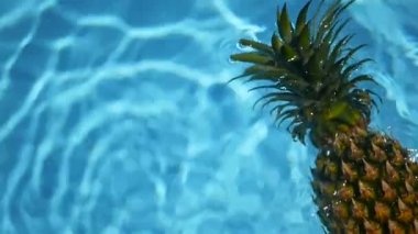 Ananas yüzen içinde mavi su içinde Yüzme Havuzu. Sağlıklı ham organik gıda. Sulu meyve. Egzotik tropik arka plan
