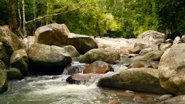 Пейзаж тропических лесов и реки с камнями. Глубокий тропический лес. Джунгли с деревьями над быстрым скалистым ручьем . — стоковое видео