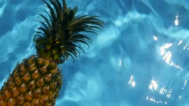 Ananas Floating In blauw Water In zwembad. Gezonde Raw natuurvoeding. Sappig Fruit. Exotische tropische achtergrond — Stockvideo