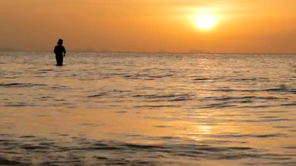 Η σιλουέτα του ψαρά σε δράση όταν γυρίζει την ώρα του ηλιοβασιλέματος. Παραδοσιακό ασιατικό επάγγελμα και τρόπος απόκτησης τροφής — Αρχείο Βίντεο