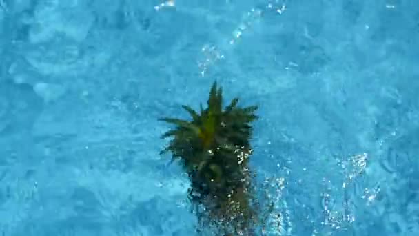 Abacaxi flutuando na água azul na piscina. Alimentos orgânicos crus saudáveis. Fruta suculenta. Fundo tropical exótico — Vídeo de Stock