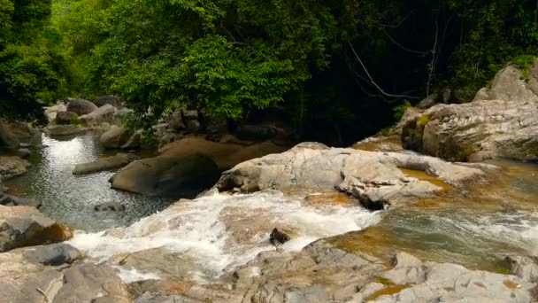 Paesaggio di foresta pluviale e fiume con rocce. Foresta tropicale profonda. Giungla con alberi sopra veloce torrente roccioso . — Video Stock