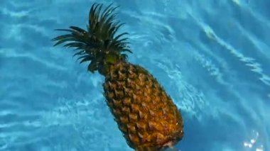 Ananas yüzen içinde mavi su içinde Yüzme Havuzu. Sağlıklı ham organik gıda. Sulu meyve. Egzotik tropik arka plan