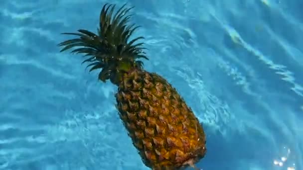 Ananász úszó a kék víz a medence. Egészséges nyers bioélelmiszerek. Lédús gyümölcs. Egzotikus trópusi háttér — Stock videók