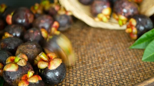 Vista dall'alto di mangostani freschi e deliziosi raccolti sul tavolo di legno. Thai frutta viola biologica nel cesto . — Video Stock
