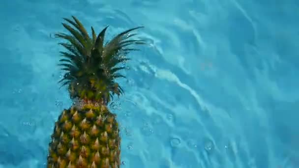 Abacaxi flutuando na água azul na piscina. Alimentos orgânicos crus saudáveis. Fruta suculenta. Fundo tropical exótico — Vídeo de Stock