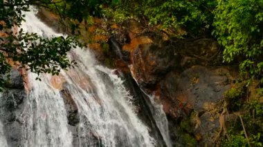 Orman cennet peyzaj tropikal ülkenin. Şelale çağlayan yeşil yağmur ormanlarında. Su akışı uçurumun üzerinden hareket