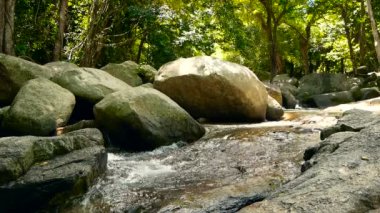 Yağmur ormanları ve nehir taşları ile büyülü toplayan. Yabani bitki örtüsü, derin tropikal orman. Orman ağaçları rapids ile hızlı kayalık akarsu üzerinde ile. Buhar taş ile egzotik orman akıyor basamaklandırır.