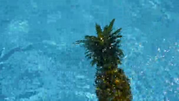 Ananas galleggiante in acqua blu in piscina. Alimenti biologici crudi sani. Frutta succosa. Fondo tropicale esotico — Video Stock