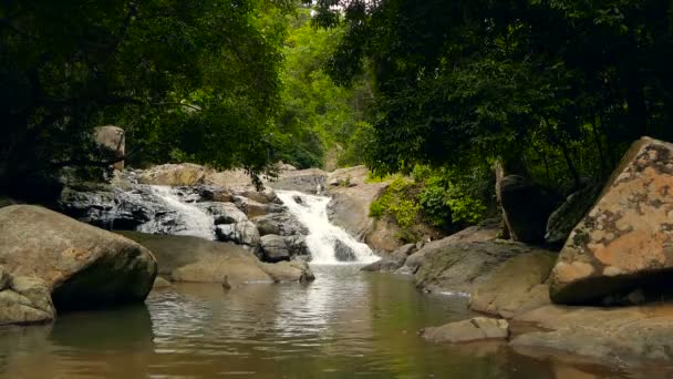 Cenário de floresta tropical e rio com rochas. Floresta tropical profunda. Selva com árvores sobre riacho rochoso rápido . — Vídeo de Stock