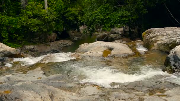 Scenerii lasów tropikalnych i rzeki z skał. Głęboko tropikalny Las. Dżungli z drzew nad strumieniem szybko rocky. — Wideo stockowe
