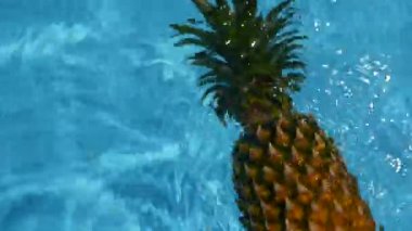 Ananas yüzen içinde mavi su içinde Yüzme Havuzu. Sağlıklı ham organik gıda. Sulu meyve. Egzotik tropik arka plan