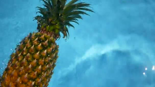 Ananas flottant dans l'eau bleue dans la piscine. Aliments biologiques crus sains. Fruits juteux. Fond tropical exotique — Video