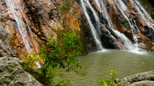 Jungle paradis paysage de pays tropicaux. Cascade cascade en forêt tropicale verte. Mouvement de l'écoulement de l'eau de la falaise — Video