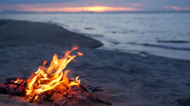 Fogueira em chamas na praia, noite de verão. Fogueira na natureza como pano de fundo. Queimar madeira na praia de areia branca ao pôr-do-sol . — Vídeo de Stock