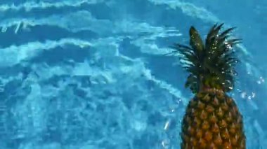 Ananas yüzen içinde mavi su içinde Yüzme Havuzu. Sağlıklı ham organik gıda. Sulu meyve. Egzotik tropik arka plan