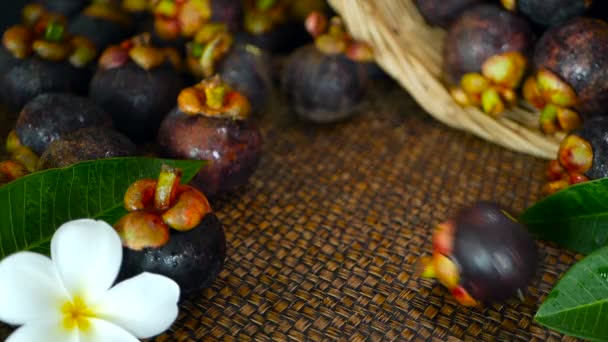 Pohled shora z čerstvých mangostany lahodné sklizené na dřevěný stůl. Thajské organické purpurové ovoce v košíku. — Stock video