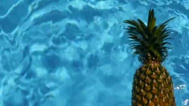 Ananas yüzen içinde mavi su içinde Yüzme Havuzu. Sağlıklı ham organik gıda. Sulu meyve. Egzotik tropik arka plan