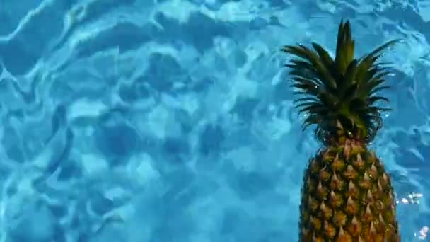 Ananas plovoucí v modré vody v bazénu. Zdravé syrové organické potraviny. Šťavnaté ovoce. Exotické tropické pozadí — Stock video