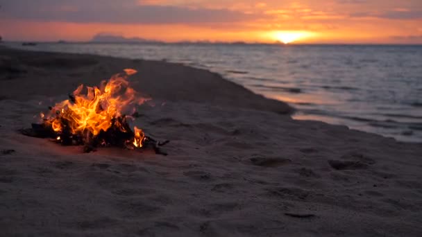 Fogata ardiente en la playa, tarde de verano. Hoguera en la naturaleza como fondo. La quema de madera en la orilla de arena blanca al atardecer . — Vídeo de stock