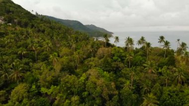Sakin okyanus ya da deniz, Koh Prangan Island, Tayland ile yıkanmış yeşil orman yağmur ormanları ve coconun avuç içi hava dron üstten görünüm egzotik cennet tropikal kıyı cliff volkanik taşlarla, kaplı.