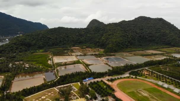 スラートターニー省の山の緑の丘でエビ養殖場のフィールドにビューをドローンします。カノム、タイ。東南アジア — ストック動画