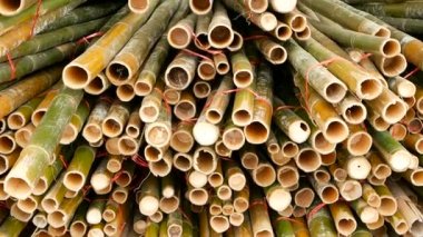 Yuvarlak çapraz dilimlenmiş bambu gövde demetleri yığınındaki bir bina inşaat olarak kullanılmak üzere hazırlanan malzeme Asya'da. Doğal doku. Düzenlenen ağaç yığını. Ormansızlaşma kavramı. dekor ve mobilyalar kaynak