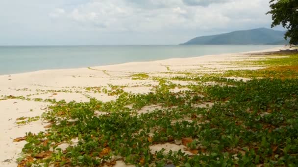 Seashore gewassen door blauwe rustig water. de exotische landschap van de idyllische tropische paradijs van zandige kust bedekt met gras en gewassen door blauwe zee op de achtergrond van de berg en bewolkte hemel — Stockvideo