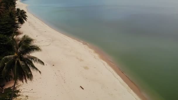 空中の美しい海 熱帯白い砂浜 青緑色の水 トップのドローンを見るエキゾチックなタイの風景 ヤシの木 海や大洋の岸 リゾート 旅行の概念 — ストック動画