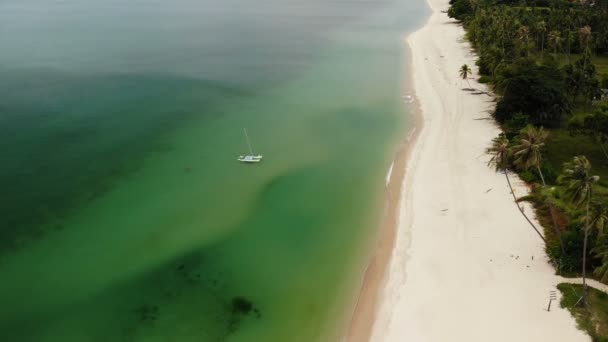 Aerial drönarvy gröna havet med liten båt och vita sandiga kusten med tropiska växter i Thailand. Cocunut Palms på exotisk strand — Stockvideo