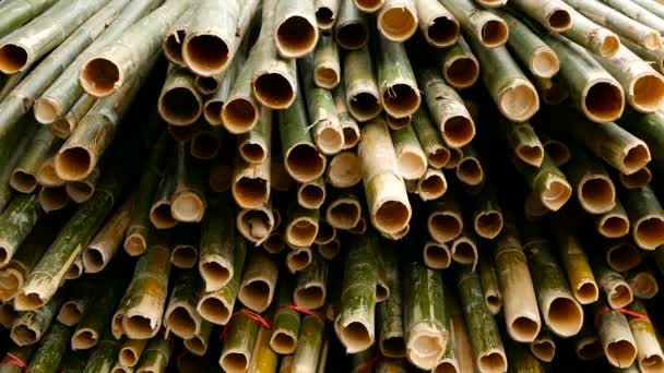 Kolo cross plátky bambusový kmen balíčky v zásobníku pro použití jako stavební konstrukce materiál v Asii. Přírodní textura. Hromada broušená stromů. Odlesňování koncept. výzdobu a nábytek zdroj — Stock video