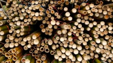 Yuvarlak çapraz dilimlenmiş bambu gövde demetleri yığınındaki bir bina inşaat olarak kullanılmak üzere hazırlanan malzeme Asya'da. Doğal doku. Düzenlenen ağaç yığını. Ormansızlaşma kavramı. dekor ve mobilyalar kaynak