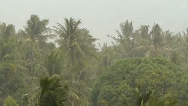 Seaside landschap tijdens een natuurramp orkaan. Krachtige cycloon wind zwieren coconut palmbomen. Zware tropische storm — Stockvideo