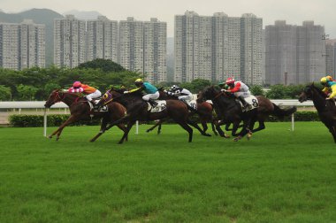 Hong Kong - 21 Şubat, 2015 yarış atları sürme erkekler yeşil çayır Hong Kong şehrinin geçmişi olan. Cityscape arka plan üzerinde yarış atı