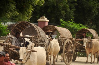 Bagan, Myanmar - 18 Kasım 2015 View arabaları oturan ve koşum, Myanmar'e kadar aramazsam satırda sürme köyü çiftçi. Arabaları koşum boğa ile çiftçi