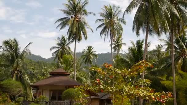 Lilla bungalow stående bland kokospalmer. Mysiga hus omgivet av tropiska exotiska växter på idylliska bakgrund av kullar och blå klar himmel. Slappna av, resa semester semester resort koncept. — Stockvideo