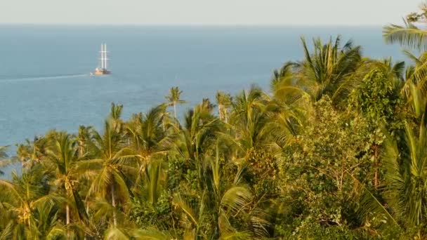 Tengeri vitorlás- és trópusi, egzotikus növényekkel. Felülről nyugodt kék óceán felszínén úszó fából készült hajó megtekintéséhez coast borított palms. Thaiföld-Koh Samui Island resort. Utazási koncepció — Stock videók