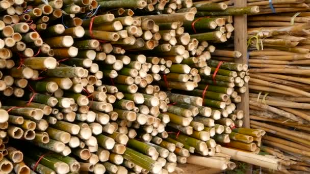 Yuvarlak çapraz dilimlenmiş bambu gövde demetleri yığınındaki bir bina inşaat olarak kullanılmak üzere hazırlanan malzeme Asya'da. Doğal doku. Düzenlenen ağaç yığını. Ormansızlaşma kavramı. dekor ve mobilyalar kaynak — Stok video