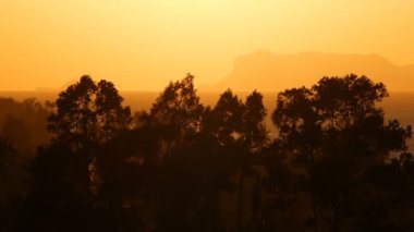 Siyah karşı günbatımı haze dağlarda altın peyzaj yemyeşil ağaçlar silüeti